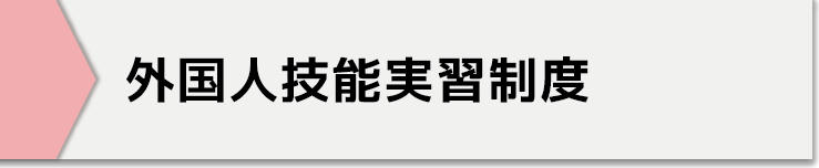 外国人技能実習制度